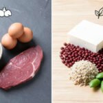 Animal vs Plant Protein: What’s Nutritionally Different?