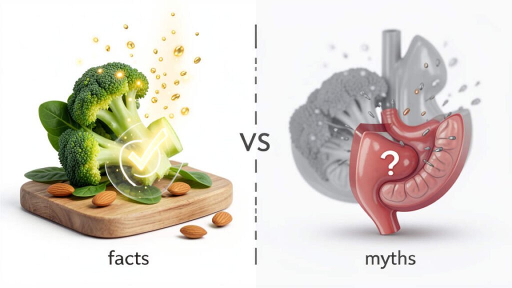 Can Antinutrients Reduce Nutrient Absorption? Myths vs Facts