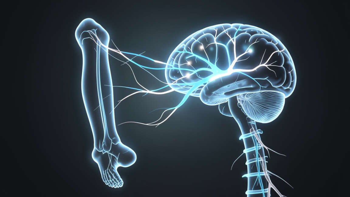 Can You Prevent Phantom Limb Pain After Amputation?