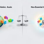 Essential vs Non-Essential Amino Acids: Key Differences