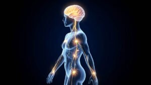 How Does the Brain Create a Mental Map of Your Body?