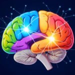 How Does the Human Brain Work? A Complete Guide