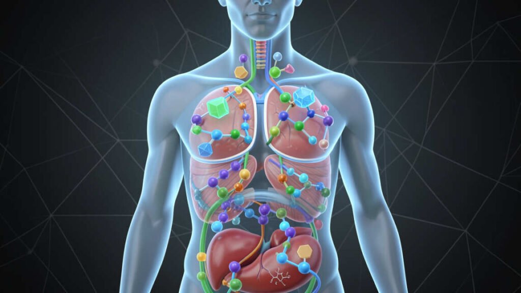 What Are Amino Acids and Why Does the Body Need Them?