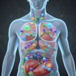 What Are Amino Acids and Why Does the Body Need Them?