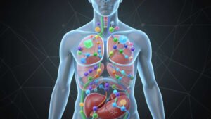 What Are Amino Acids and Why Does the Body Need Them?