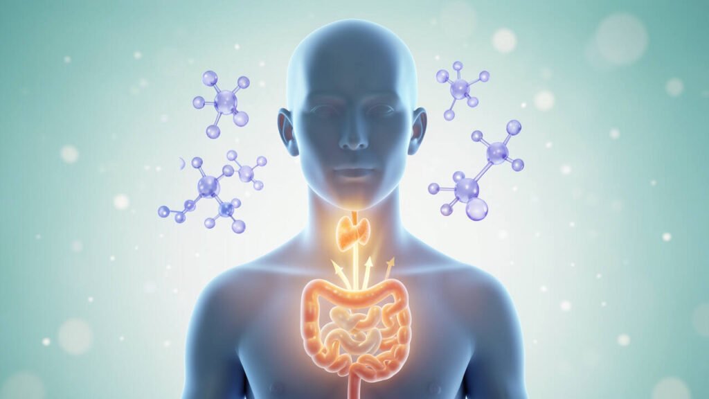 What Does Iodine Do and Why Does the Body Need It?