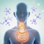 What Does Iodine Do and Why Does the Body Need It?