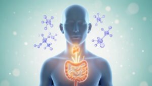 What Does Iodine Do and Why Does the Body Need It?