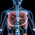 What Does Magnesium Actually Do in the Human Body?