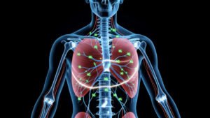 What Does Magnesium Actually Do in the Human Body?