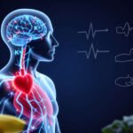 What Does Potassium Do in the Human Body?