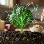 What Does Vitamin K Do and Where Does It Come From?