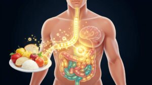 What Happens to Carbohydrates After You Eat Them?