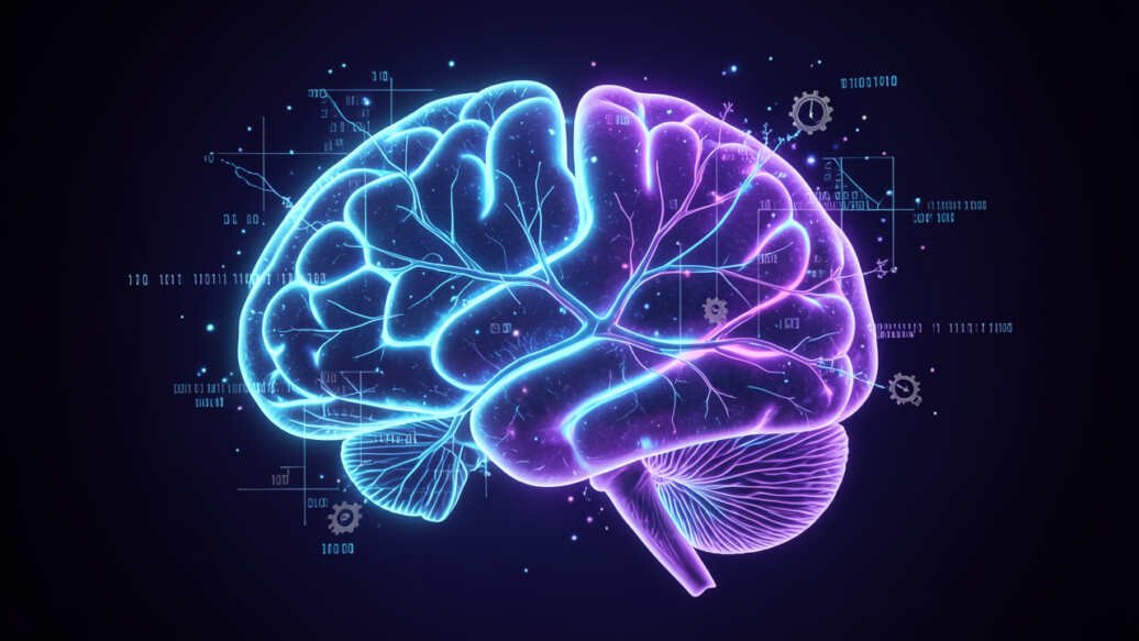 Where Does the Brain Store Memories?