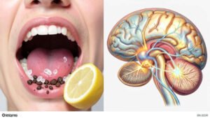 Why Are Smell and Taste Closely Connected? Science Explained